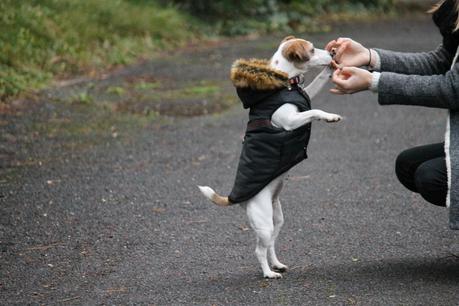 #79 Chez Huguette #79 Chez Huguette