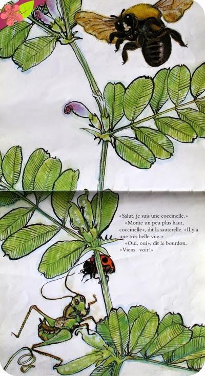 Que nous a-t-elle ramené de la bibliothèque de l'école ? #11