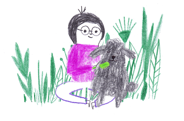 2015, une année qui a du chien. ( ok, je vais arrêter là ...