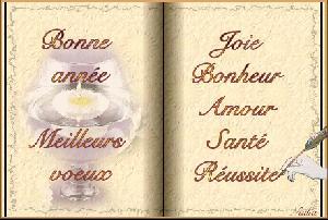 Bilan de l’année 2014 3238423407_1_3_xD9qXzyk