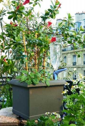 CES 2015 : Parrot continue de surveiller les plantes avec le Pot et H2O CES 2015 : Parrot continue de surveiller les plantes avec le Pot et H2O