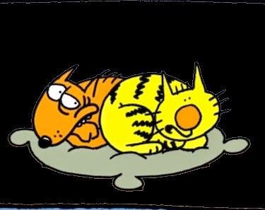 Nos symboles, tout bêtes mais tellement important...