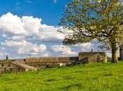 Chômage peut créer emplois dans l’agriculture