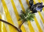 Exposition Matières récits Lieu-Commun