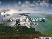 tour monde d'oiseau