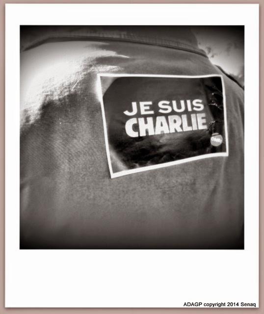 Bordeaux , Rassemblement Je suis Charlie le 11/01/2015.