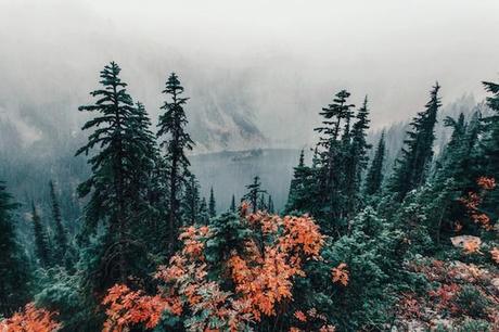 AMERICAN NORTHWEST LANDSCAPES lamb9