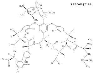 vancomycine