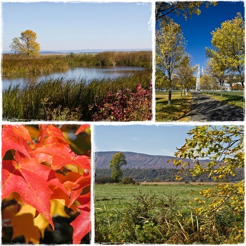 Escapade dans le temps