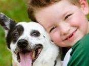 AUTISME: compagnie d'un animal pour construire lien social Journal Autism Developmental Disorders