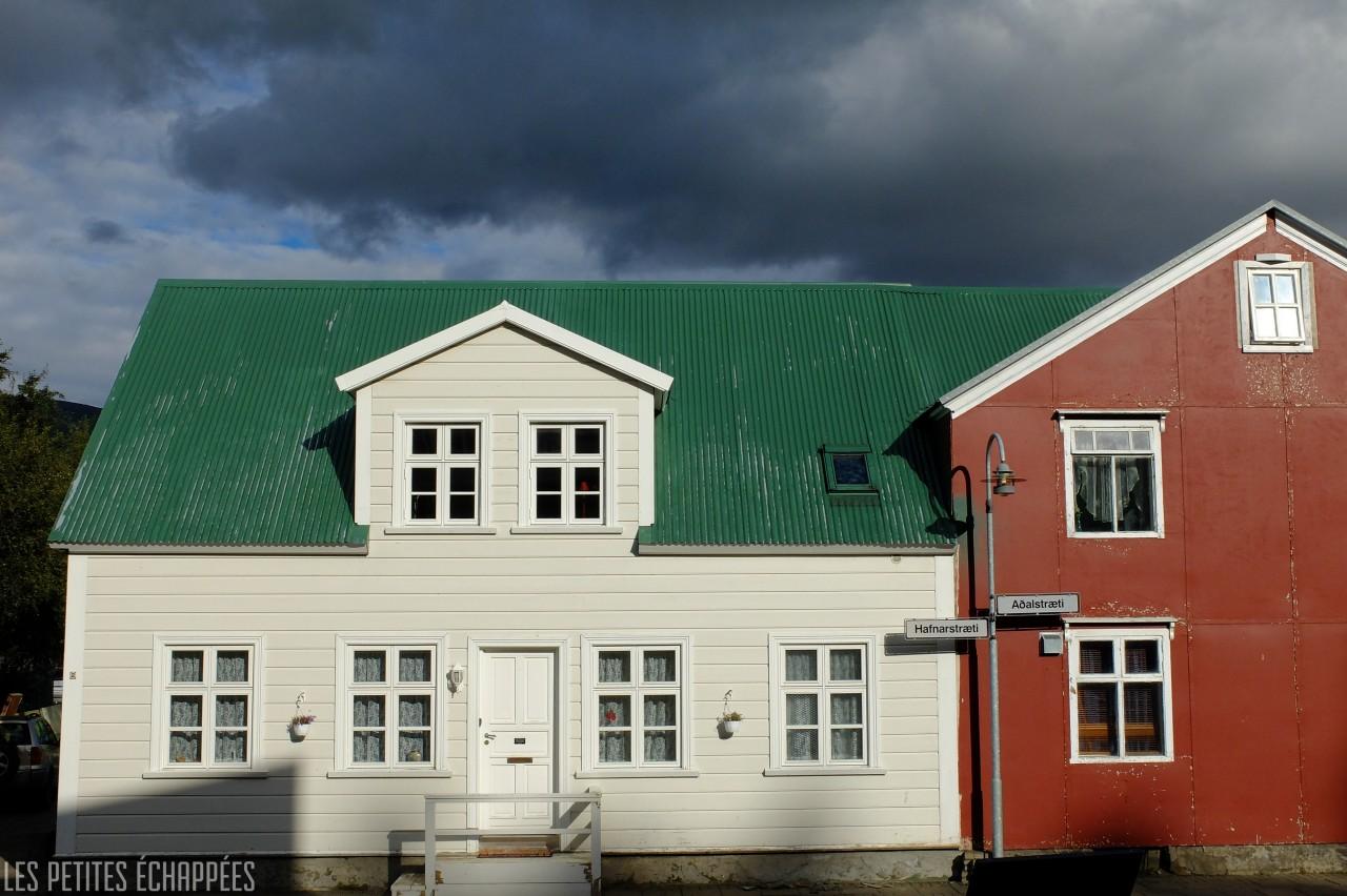 Icelandic house2