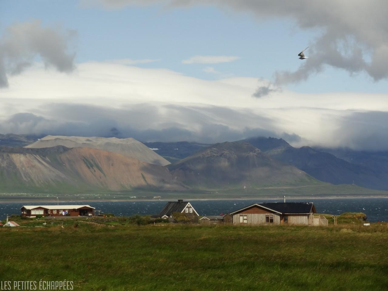 Icelandic house13