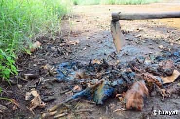 Pollution des sols : révélations sur un scandale caché