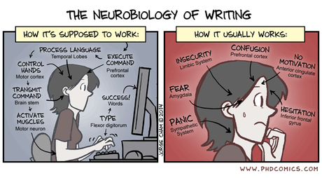 The neurobiology of writing neurobiology of writing