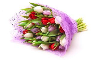 Tulipes bouquet