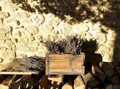 Douceurs hivernales Provence