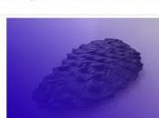 Galerie 22.48 j’ai n’existe plus