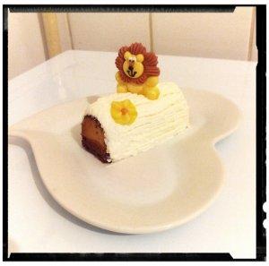 savane maison façon bûchette 