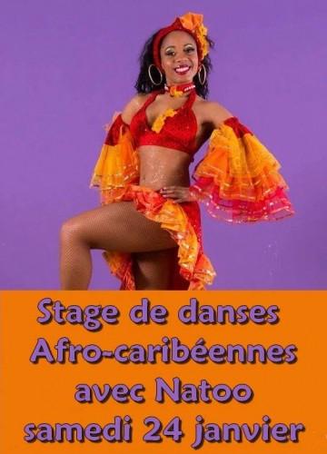 Stage Afro Caribenne avec Natoo 24 janvier 2015