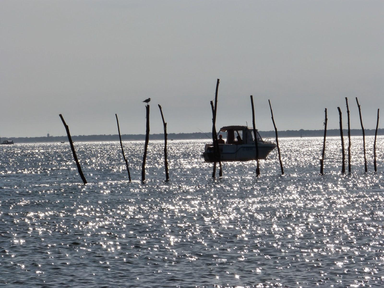 Science et Avenir: le 7 13 13 par SMS