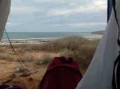 Shark Hamelin Pool Shell Beach