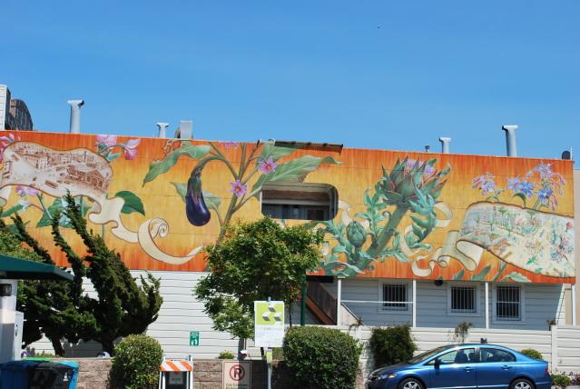 Le street art végétal selon Mona Caron