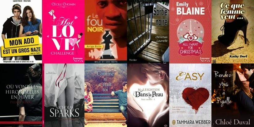 Mon Bilan livresque 2014