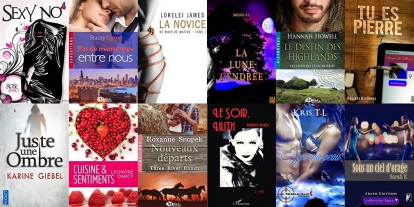 Mon Bilan livresque 2014