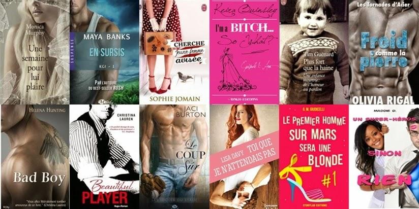 Mon Bilan livresque 2014