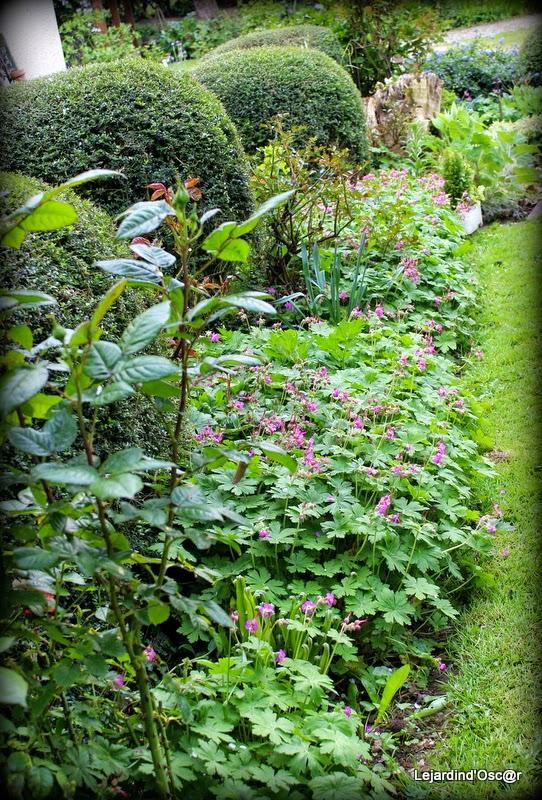 Mieux vaut tard que jamais...