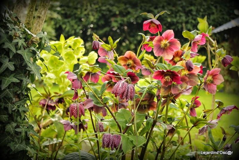 Mieux vaut tard que jamais...