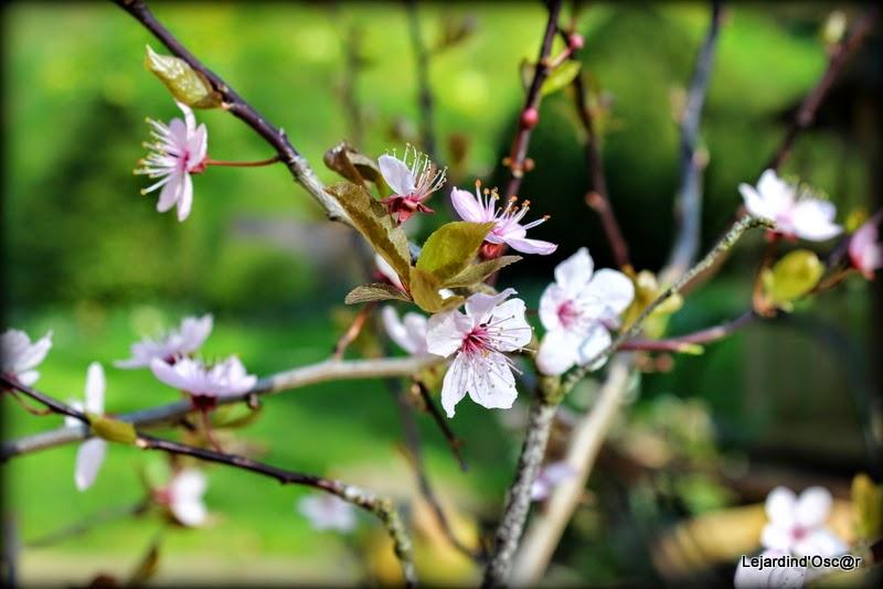 Mieux vaut tard que jamais...