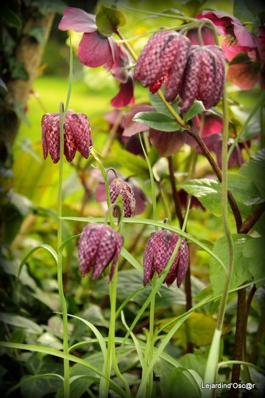 Mieux vaut tard que jamais...