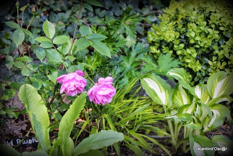 Mieux vaut tard que jamais...