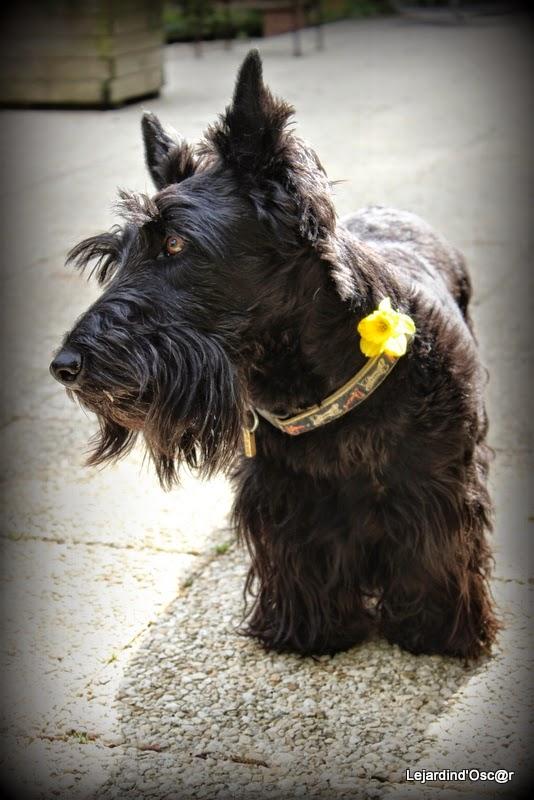 Mieux vaut tard que jamais...