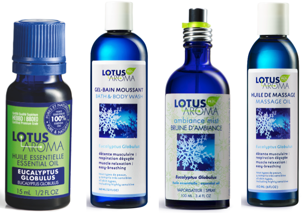 Victime de la saison de la grippe et du rhume? L’Eucalyptus Globulus de Lotus Aroma à la rescousse!
