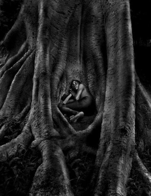 Les enfants de William Ropp