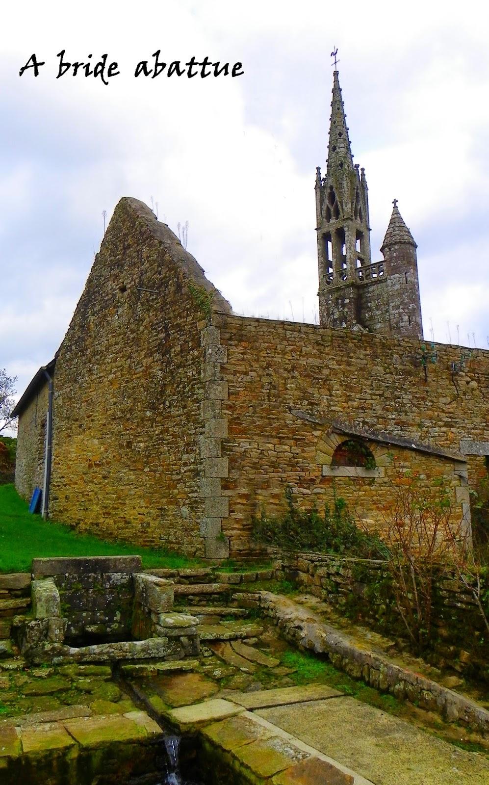 Le microfar, un concept de gâteau déclinable à souhait avec les Microcakes®