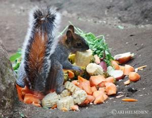 Attention ! Un voleur d’énergie peut en cacher un autre.