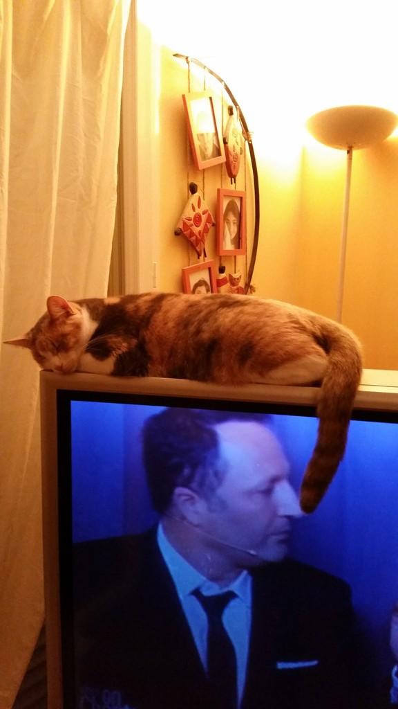 La mâche avec de la vinaigrette ça aurait été mieux Marigotine, et pour info j'ai voulu, par le passé, tirer les vers du nez de Jean Luc Delarue mais j'suis  tombée dans la 