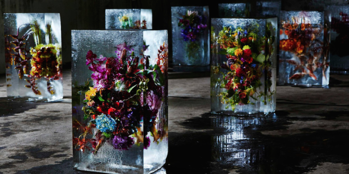ART : Iced Flowers by Azuma Makoto