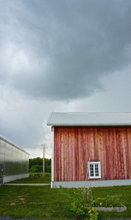 anteketborka.blogspot.com, ciel 14 c