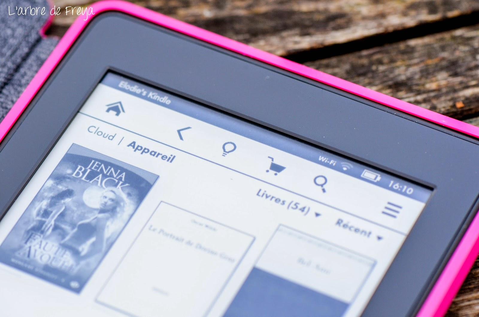 La liseuse Kindle par Amazon: le test