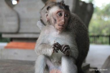 INDONESIE – Escale à Bali