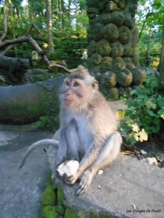 INDONESIE – Escale à Bali