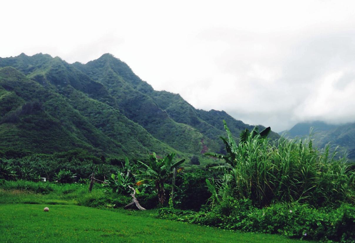La nature est plus accessible sur les îles de Maui et Big Island