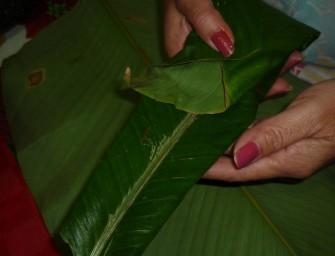 tamal-arroz-fermeture-04