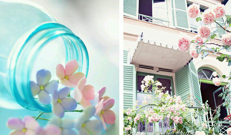 SWEET COLORS - BLOOMY MAGAZINE SWEET COLORS - BLOOMY MAGAZINE