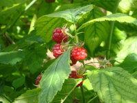 Un nouveau chez-soi ?