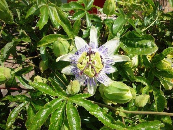 Un nouveau chez-soi ?